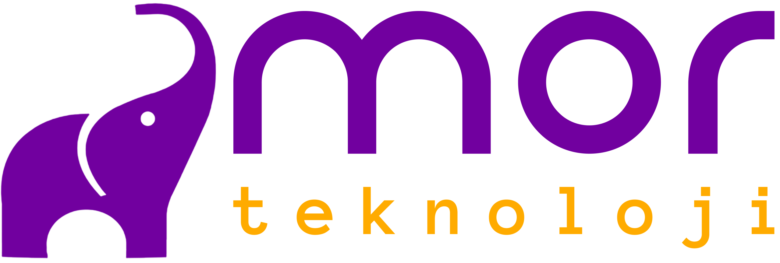 Mor Teknoloji